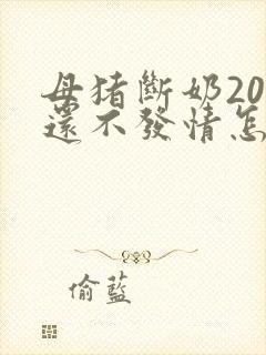 母猪断奶20天还不发情怎么办呢