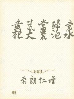 黄芪当归党参枸杞大枣泡水喝的功效