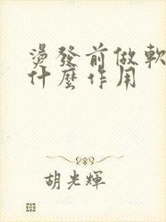 烫发前做软化起什么作用封面