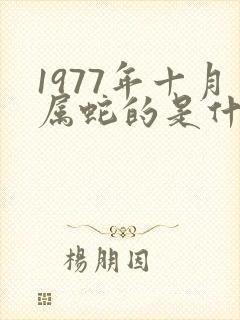 1977年十月属蛇的是什么命