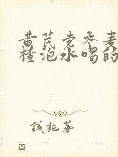 黄芪党参麦冬山楂泡水喝的功效