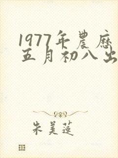 1977年农历五月初八出生的人属什么命