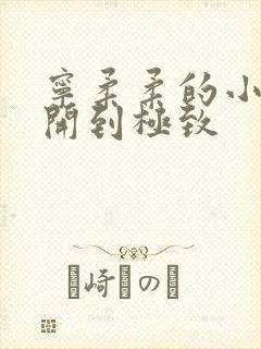 宁柔柔的小泬撑开到极致