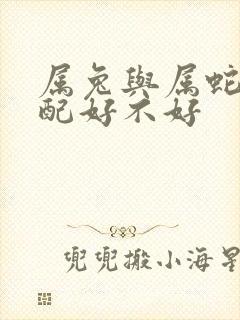 属兔与属蛇的婚配好不好
