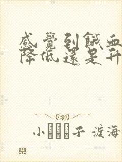 感觉到饿血糖会降低还是升高