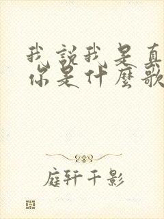我说我是真的爱你是什么歌的歌词
