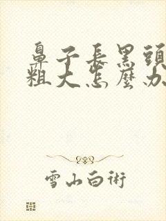 鼻子长黑头毛孔粗大怎么办