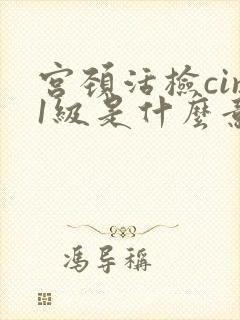 宫颈活检cin1级是什么意思