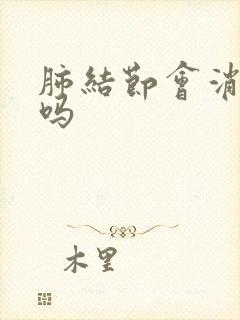 肺结节会消消失吗