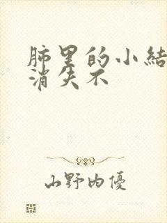 肺里的小结节会消失不