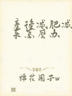 产后减肥减不下来怎么办