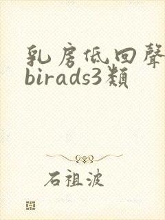 乳房低回声结节birads3类