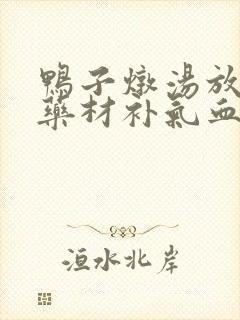 鸭子炖汤放什么药材补气血封面