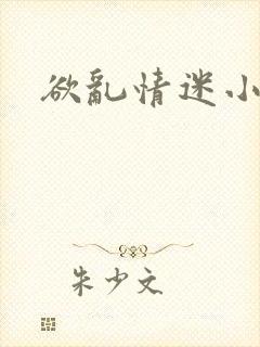 欲乱情迷小说
