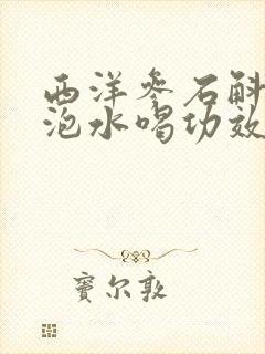 西洋参石斛麦冬泡水喝功效封面