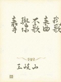 来与不来我都在等你歌曲歌词