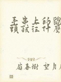 手串上的貔貅的头该往什么方向封面