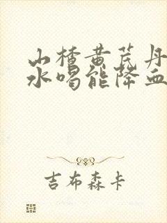 山楂黄芪丹参泡水喝能降血压吗