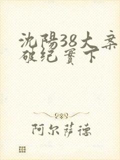 沈阳38大案侦破纪实下
