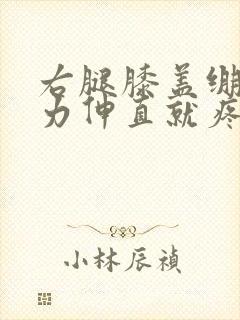 右腿膝盖绷直用力伸直就疼