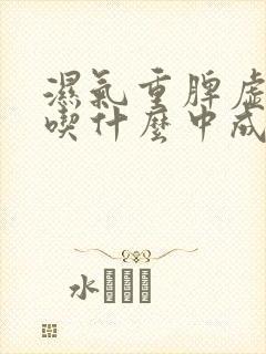 湿气重脾虚便秘吃什么中成药