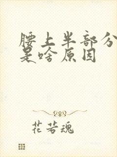 腰上半部分背疼是啥原因