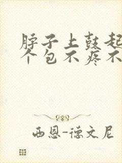 脖子上鼓起来一个包不疼不痒封面
