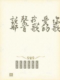 说声我爱你 是哪首歌的歌词