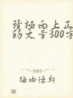 积极向上正能量的文章300字封面