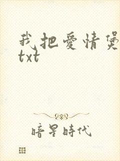 我把爱情煲成汤txt