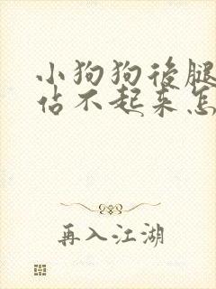 小狗狗后腿无力站不起来怎么回事封面