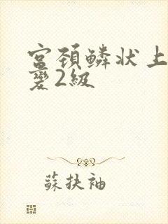 宫颈鳞状上皮病变2级