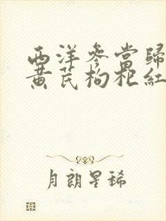 西洋参当归党参黄芪枸杞红枣泡水喝的功效