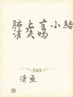 肺上有小结节会消失吗封面
