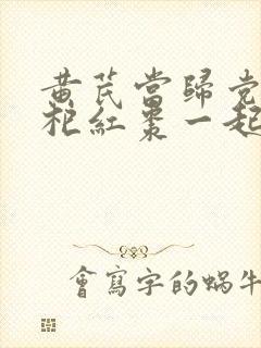 黄芪当归党参枸杞红枣一起喝有什么功效