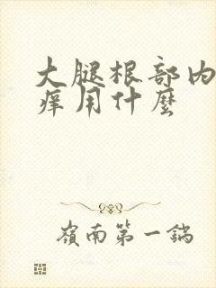 大腿根部内侧瘙痒用什么