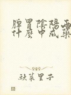 脾胃阴阳两虚吃什么中成药呢