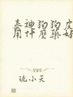 泰迪狗狗皮肤病用什么药好封面