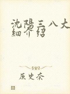 沈阳三八大案详细介绍