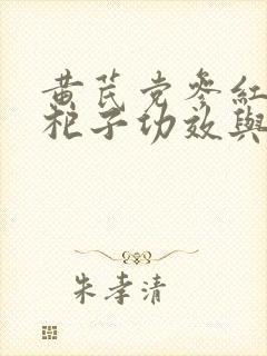 黄芪党参红枣枸杞子功效与作用