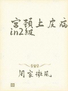 宫颈上皮病变cin2级封面