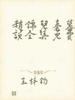赵锦儿秦慕修小说全集免费封面