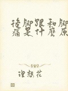 后脚跟和脚趾麻痛是什么原因