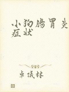 小狗肠胃炎好转症状