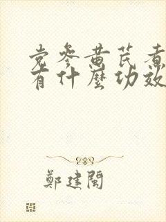 党参黄芪煮水喝有什么功效封面
