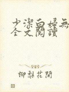 少洁白妇无删减全文阅读