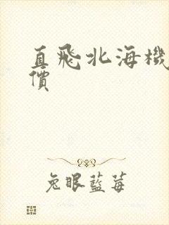 直飞北海机票特价