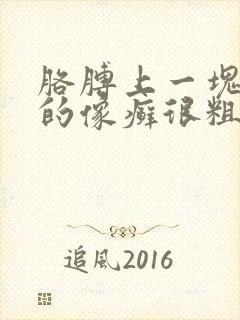 胳膊上一块一块的像癣很粗糙