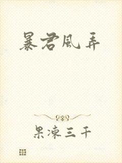 暴君风弄封面