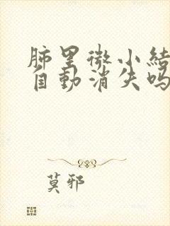 肺里微小结节会自动消失吗